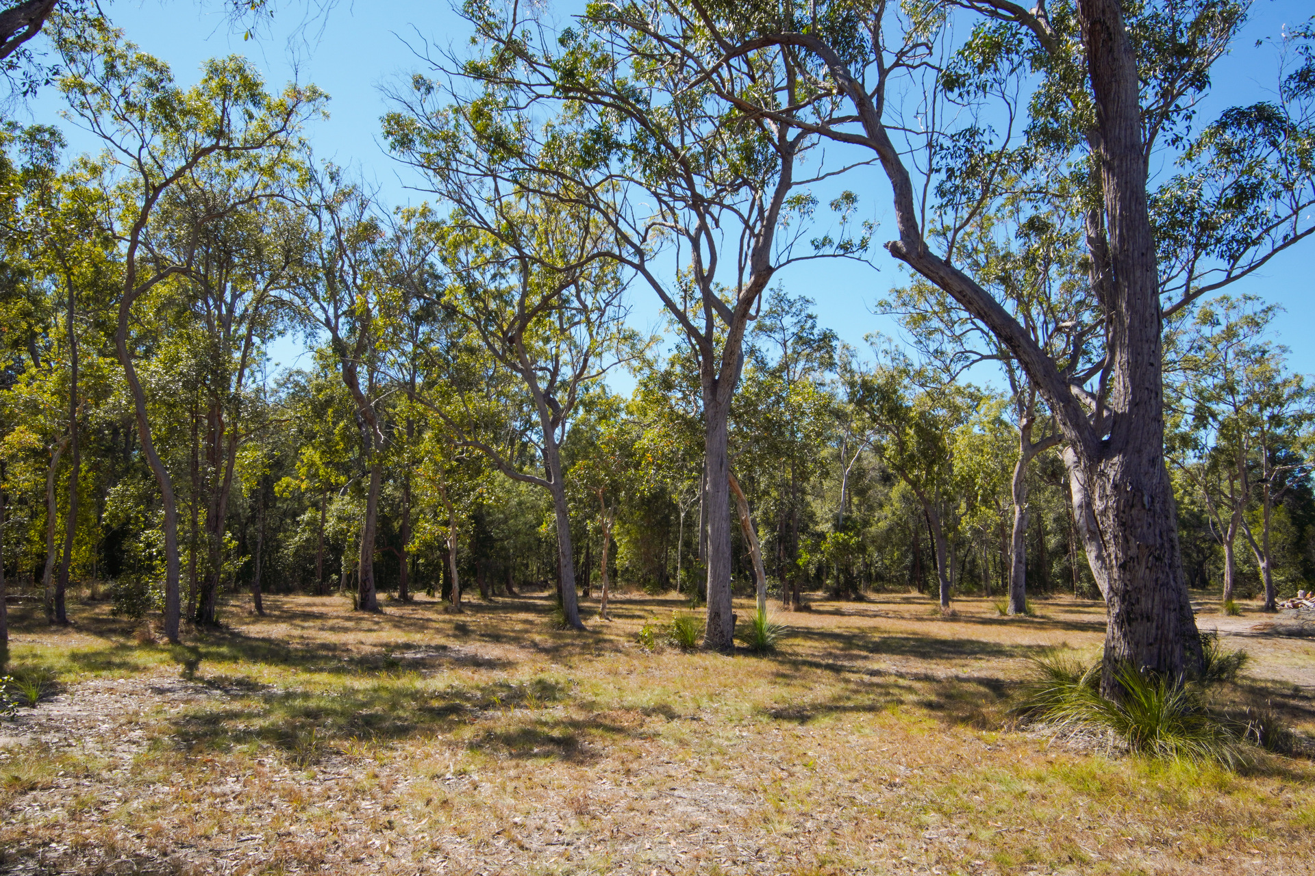 328 Baldaw Road, Captain Creek  QLD  4677